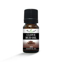 Clove_Bud_Oil_E08