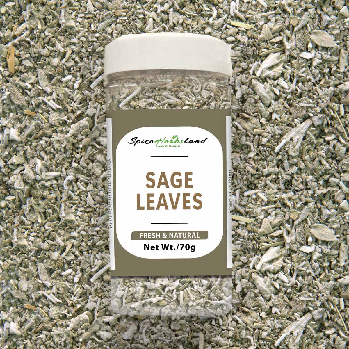 Sage_leaves_SH26_P