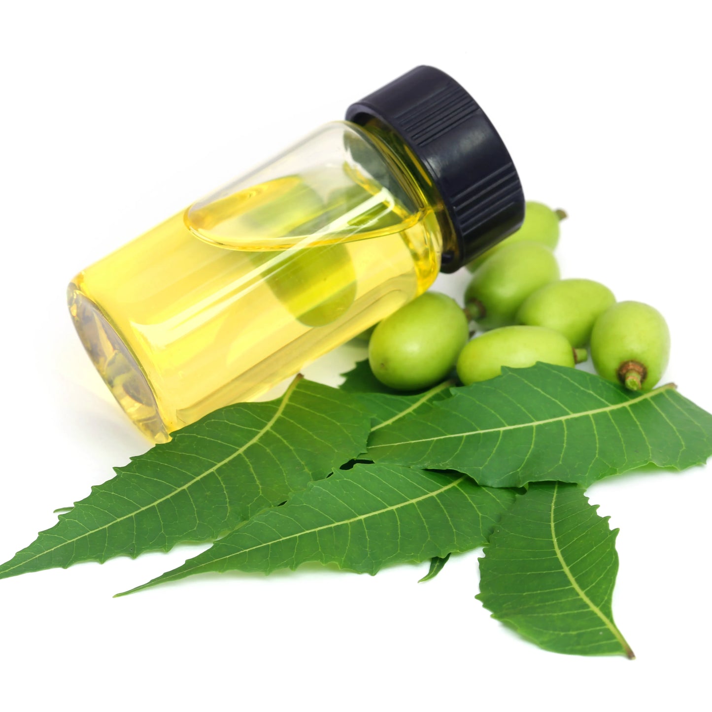 Neem Seed Oil