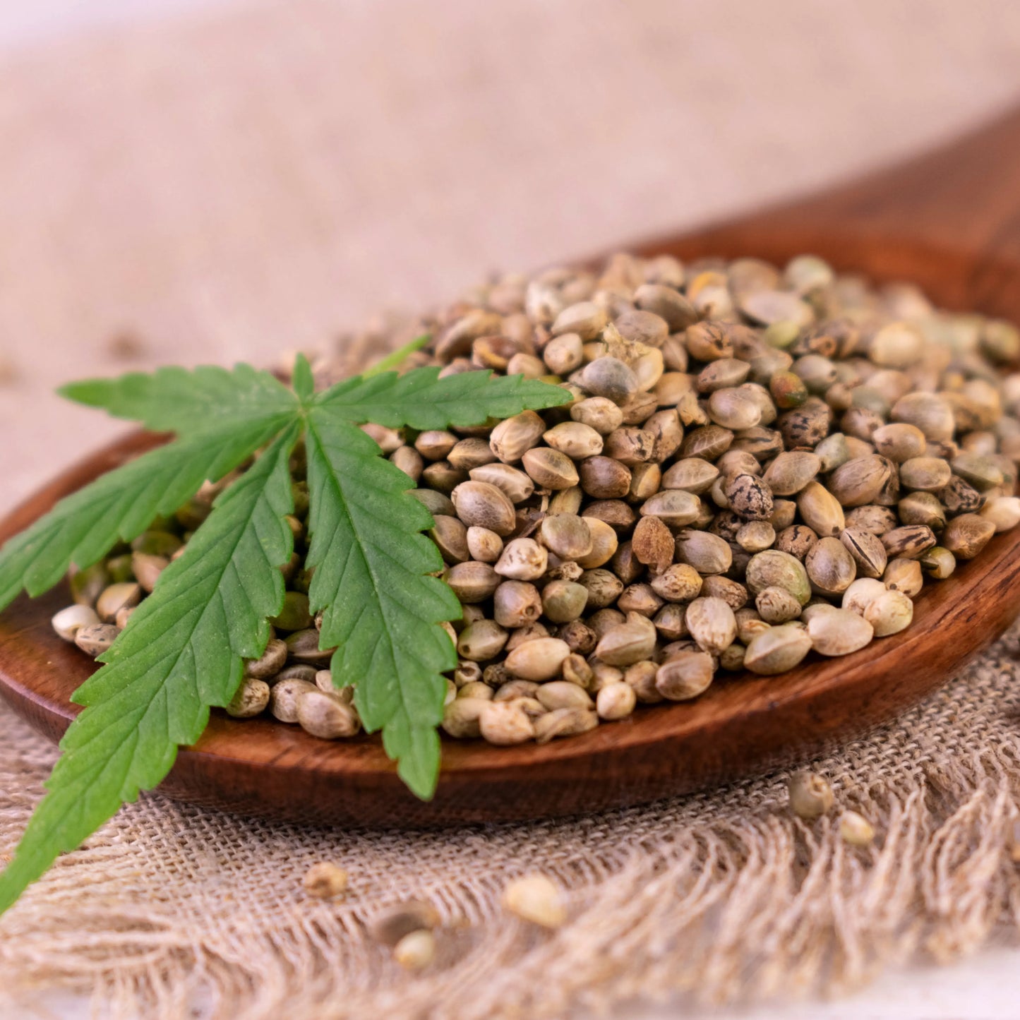 Hemp Seed Oil