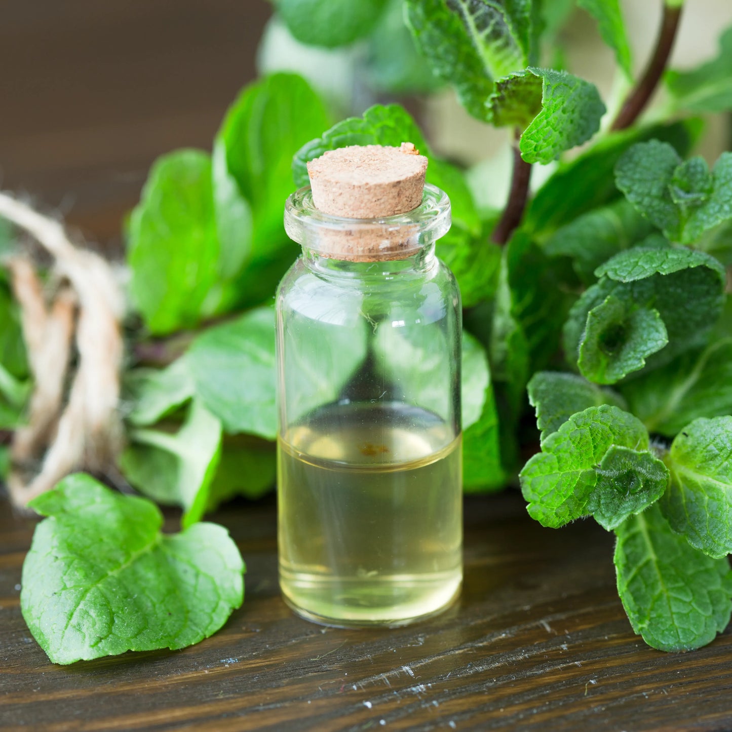 100% Pure, Natural Peppermint Mentha Arvensis Essential Oil