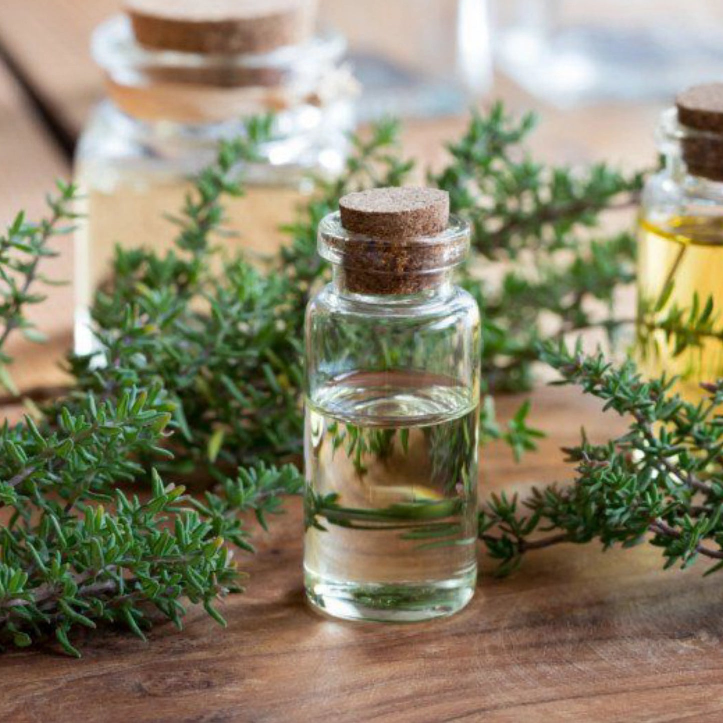 100% Pure, Natural Thyme Essential Oil