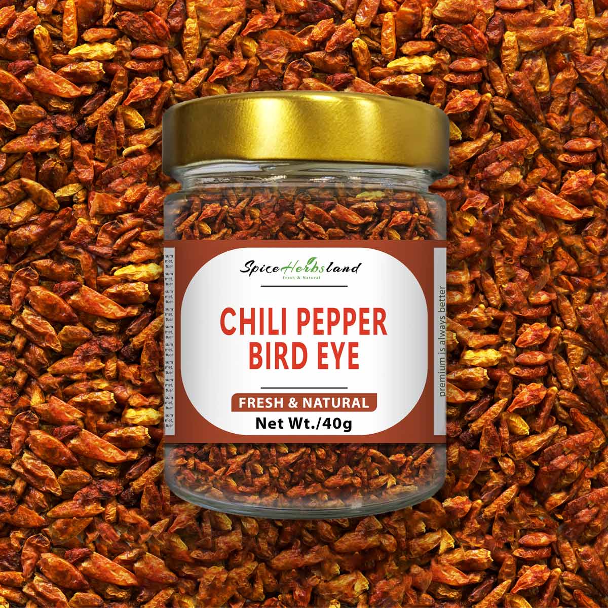 Chili pepper Bird eye