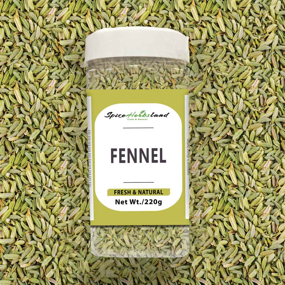 Fennel