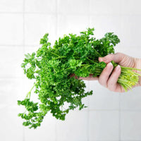 Parsley leaves