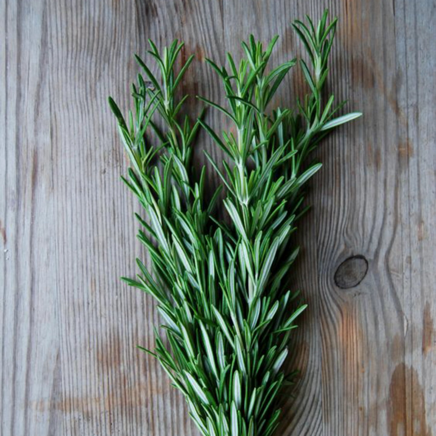 Rosemary dried