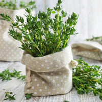 Thyme